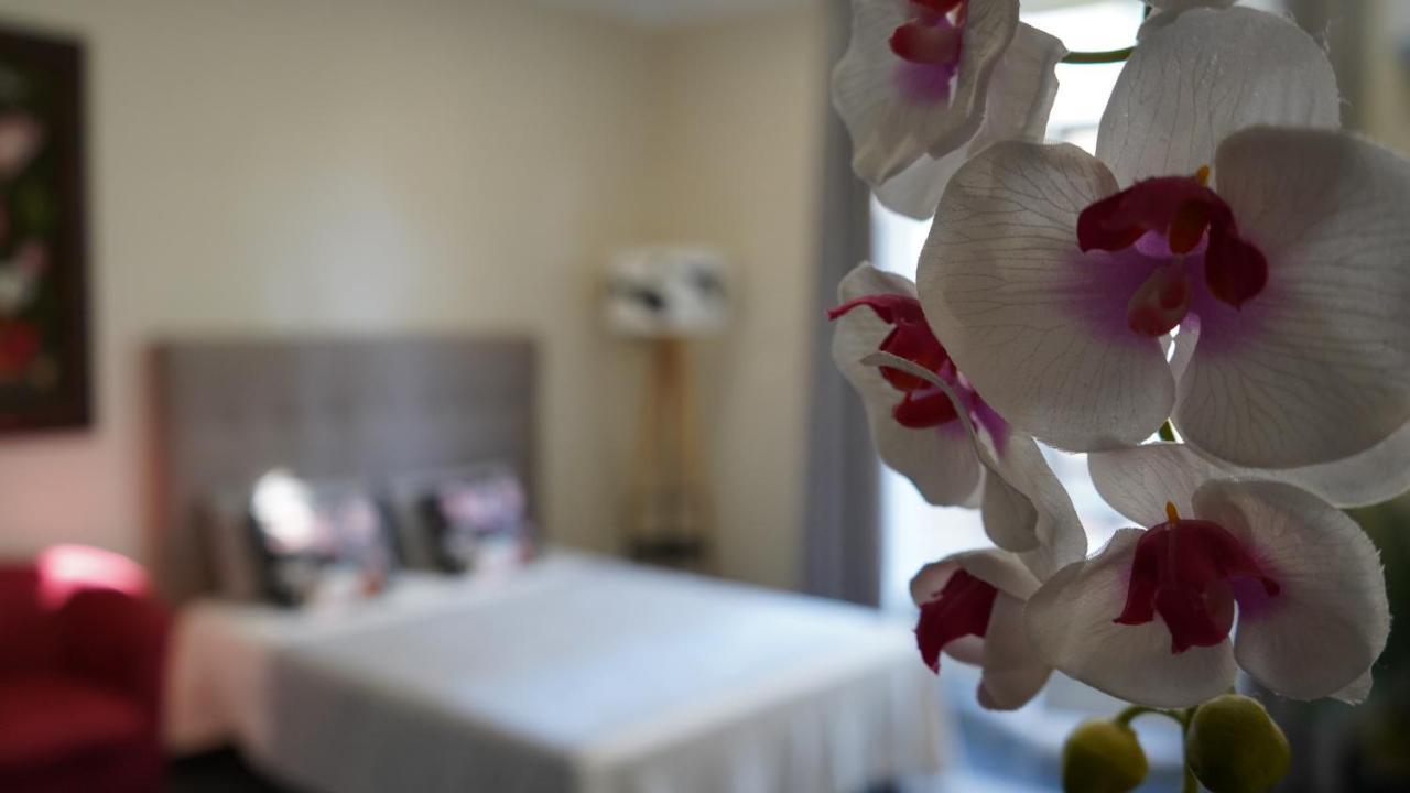 Cozy Studio With A Sea View Ница Екстериор снимка